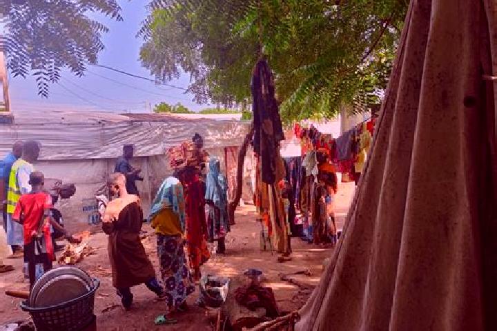 Escorts Bogo, Cameroon — Local Companions