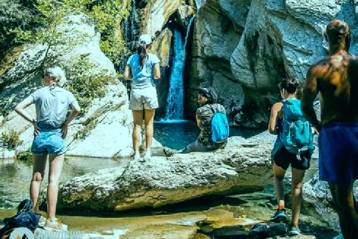 Escorts Bogove, Albania — Local Companions