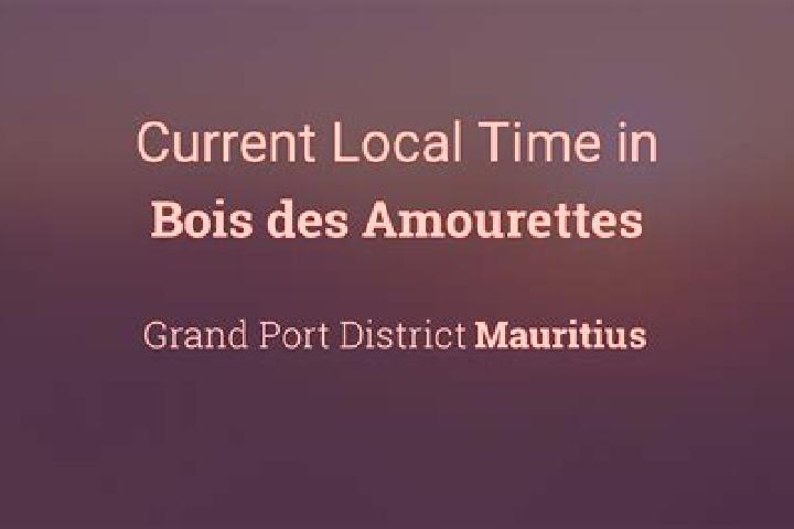 Escorts Bois des Amourettes, Mauritius — Local Companions