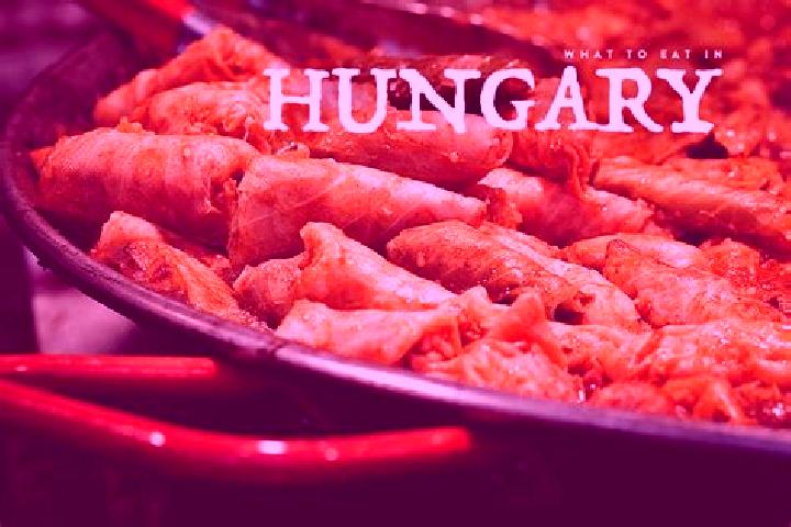 Escorts Bokod, Hungary — Local Companions