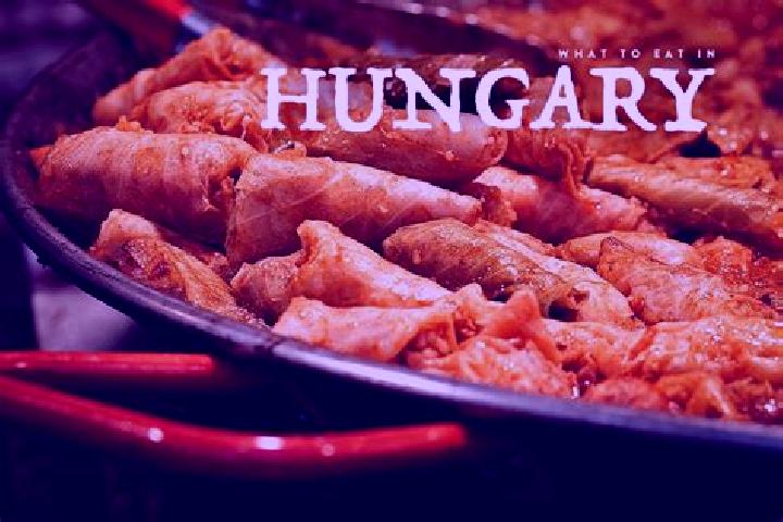 Escorts Bokony, Hungary — Local Companions