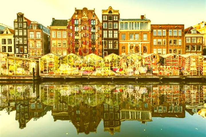 Escorts Bolnes, Netherlands — Local Companions