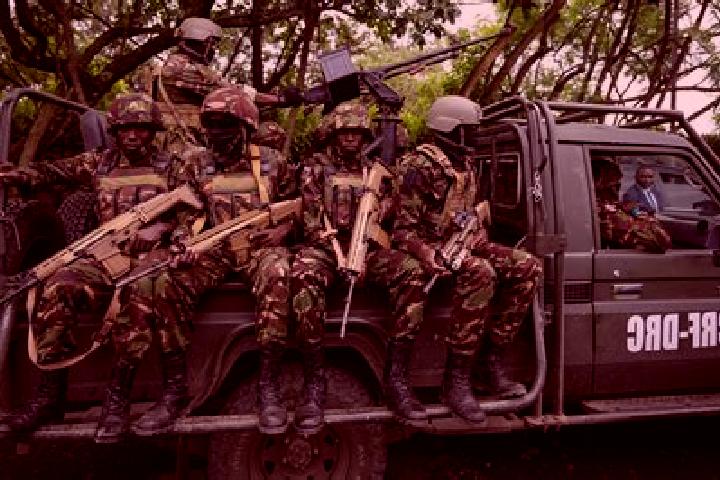 Escorts Bondo, DR Congo — Local Companions