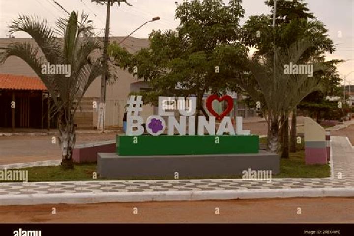Escorts Boninal, Brazil — Local Companions