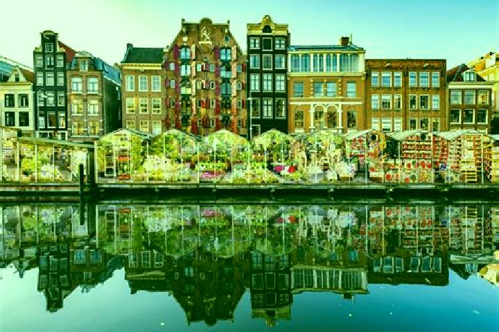 Escorts Boornbergum, Netherlands — Local Companions
