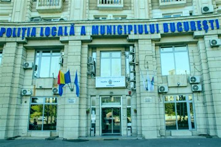 Escorts Borca, Romania — Local Companions