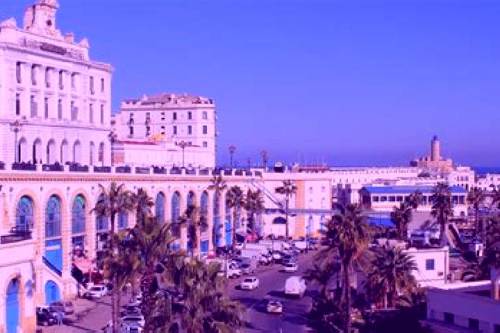 Escorts Bordj el Bahri, Algeria — Local Companions