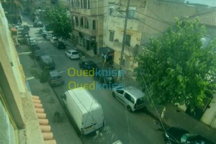Escorts Bordj el Kiffan, Algeria — Local Companions