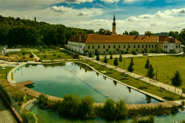 Escorts Borek, Czech Republic — Local Companions
