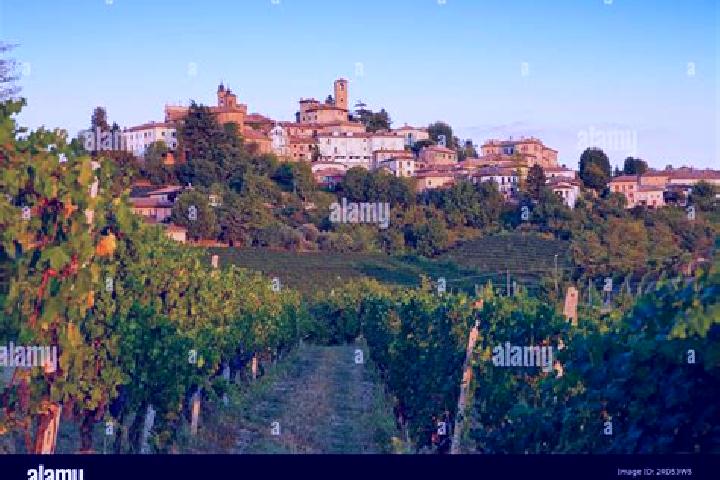 Escorts Borghi, Italy — Local Companions