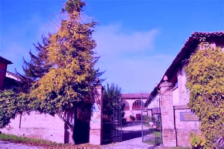 Escorts Borgo Priolo, Italy — Local Companions