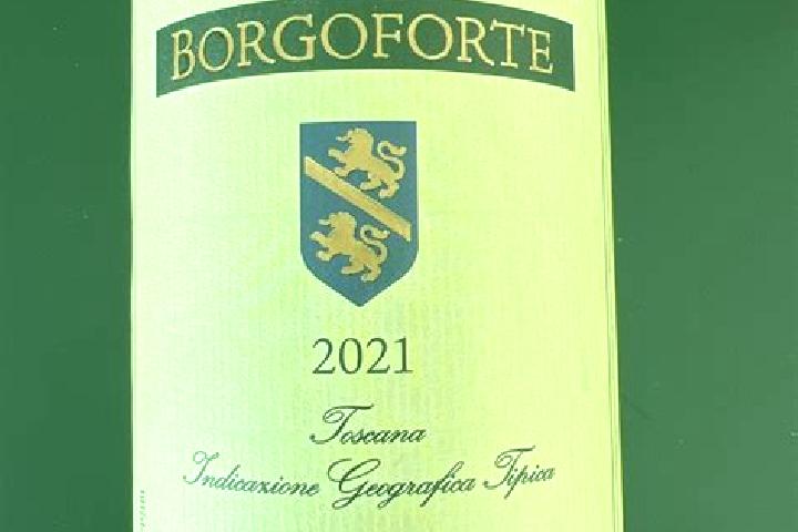 Escorts Borgoforte, Italy — Local Companions