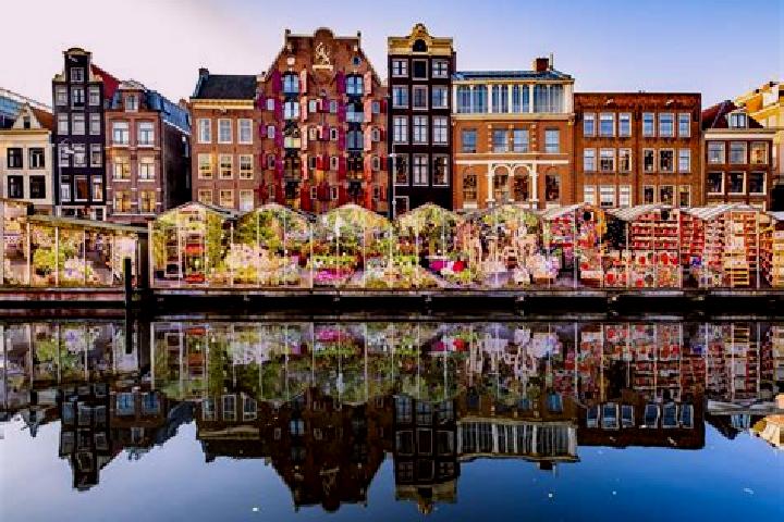 Escorts Bornerbroek, Netherlands — Local Companions