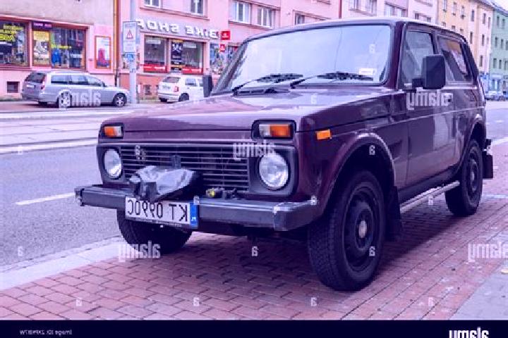 Escorts Borova Lada, Czech Republic — Local Companions