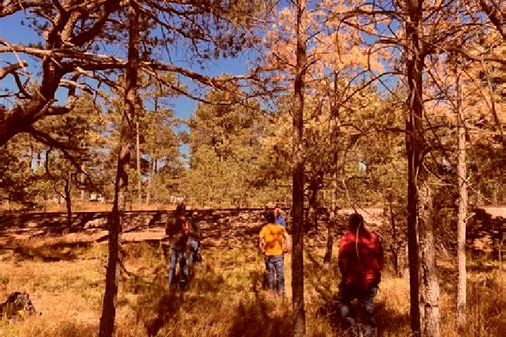 Escorts Bosques del Mineral, Mexico — Local Companions