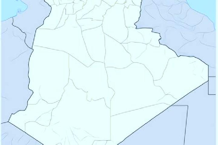 Escorts Bou Ismail, Algeria — Local Companions