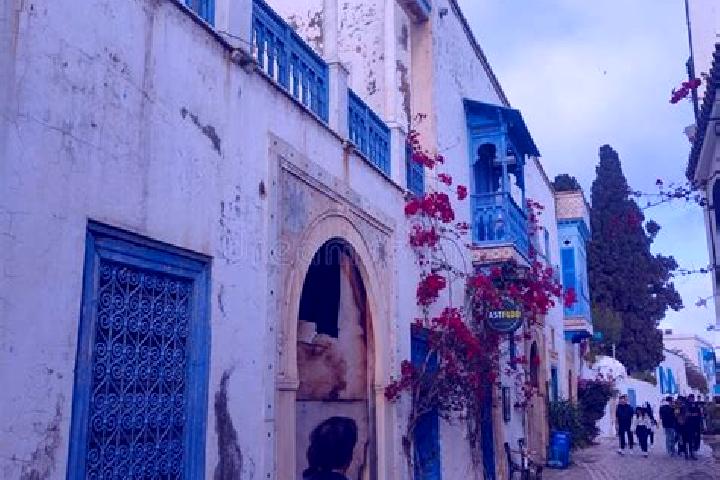 Escorts Bou Merdes, Tunisia — Local Companions