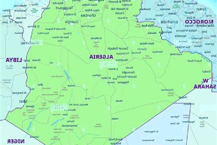 Escorts Boumerdas, Algeria — Local Companions