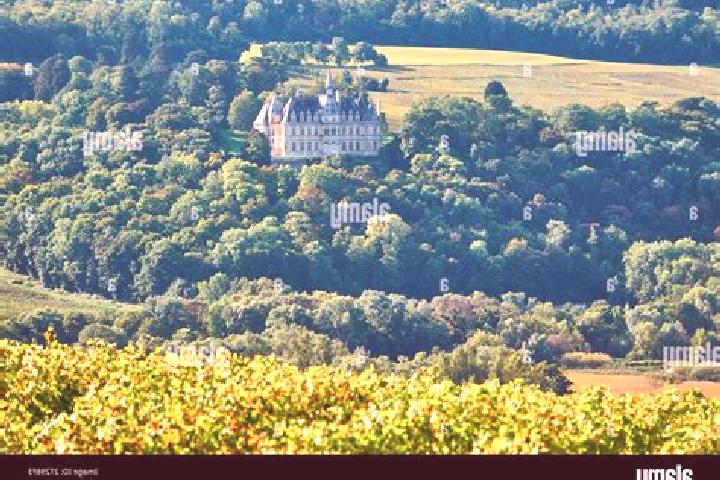 Escorts Boursault, France — Local Companions