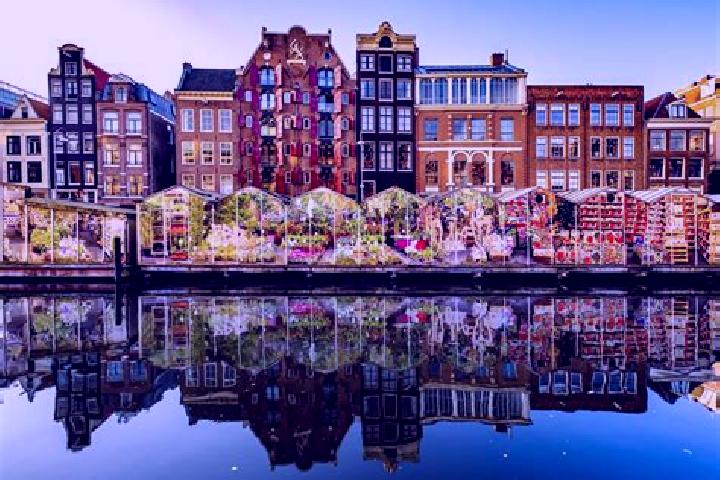 Escorts Boxmeer, Netherlands — Local Companions