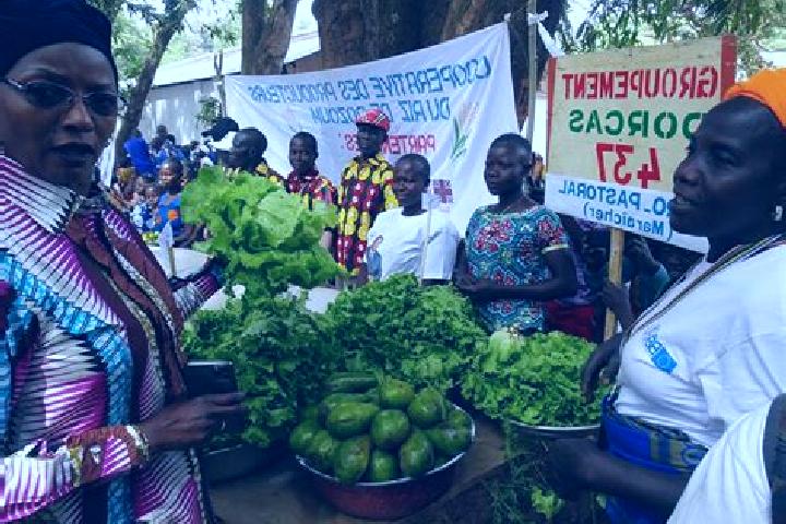 Escorts Bozoum, Central African Republic — Local Companions