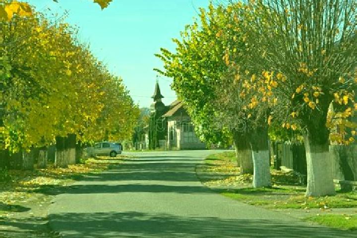 Escorts Brebu, Romania — Local Companions