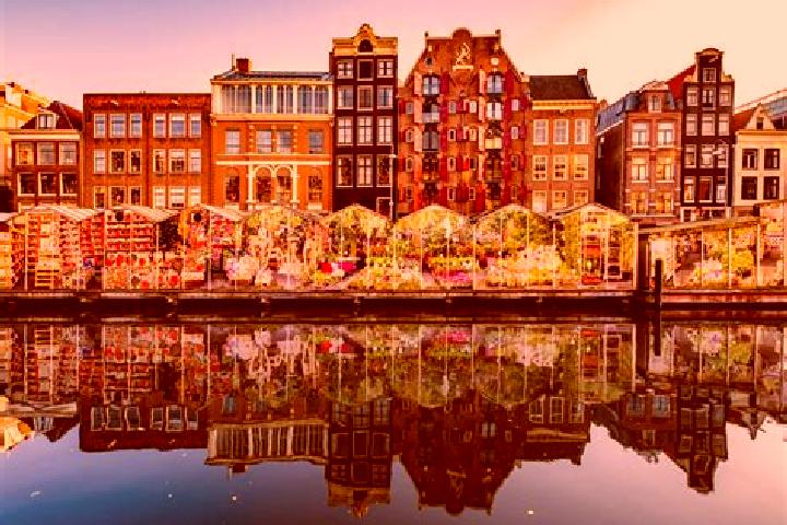 Escorts Breezand, Netherlands — Local Companions