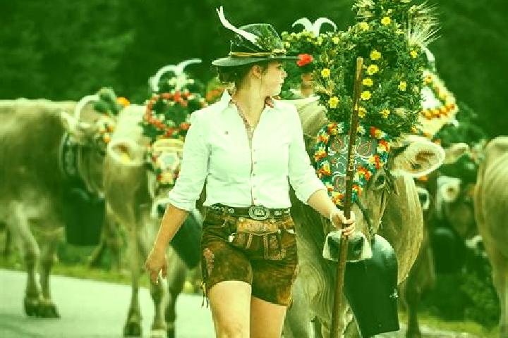 Escorts Breitenbach am Inn, Austria — Local Companions