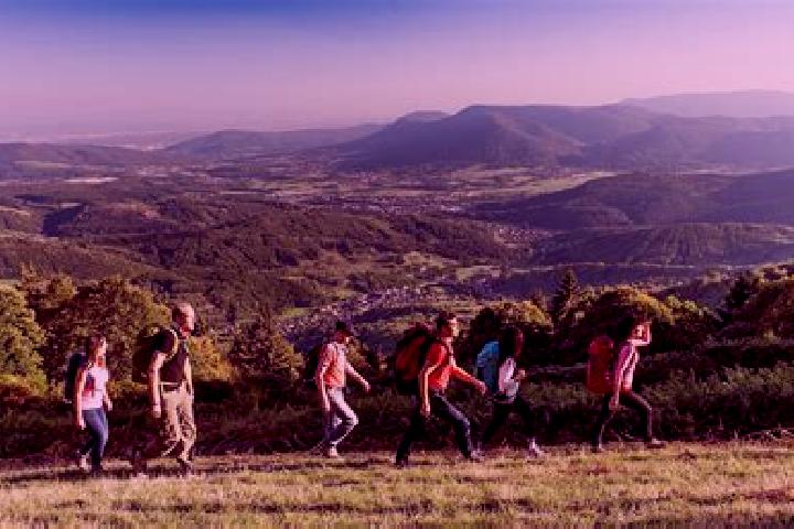 Escorts Breitenbach, France — Local Companions