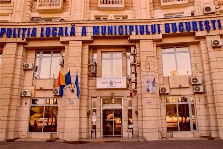 Escorts Brestovat, Romania — Local Companions