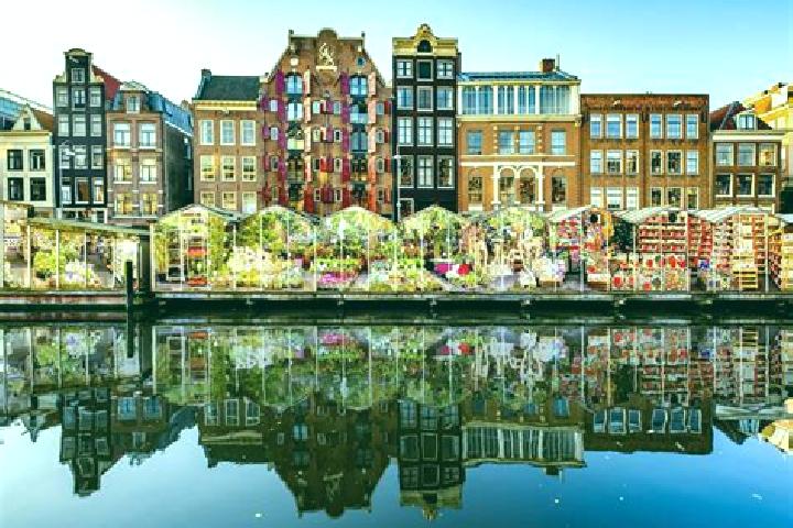 Escorts Broekerhaven, Netherlands — Local Companions