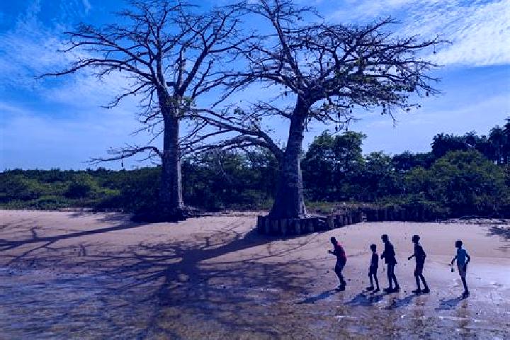 Escorts Bubaque, Guinea-Bissau — Local Companions