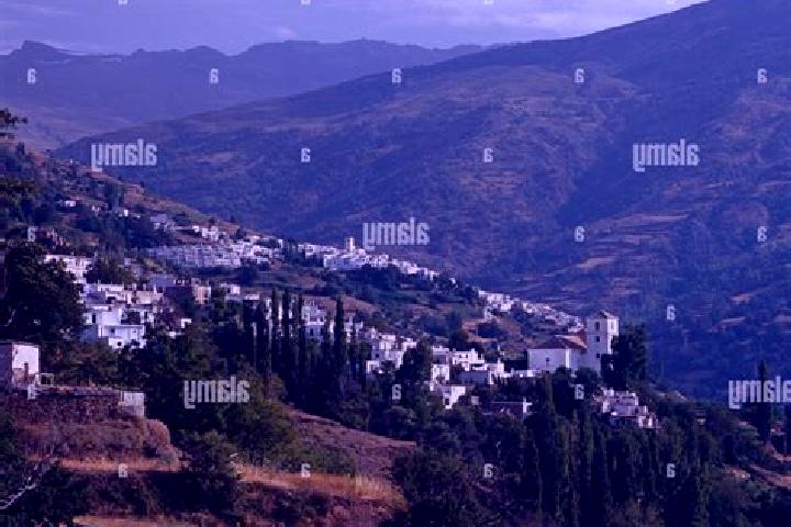 Escorts Bubion, Spain — Local Companions