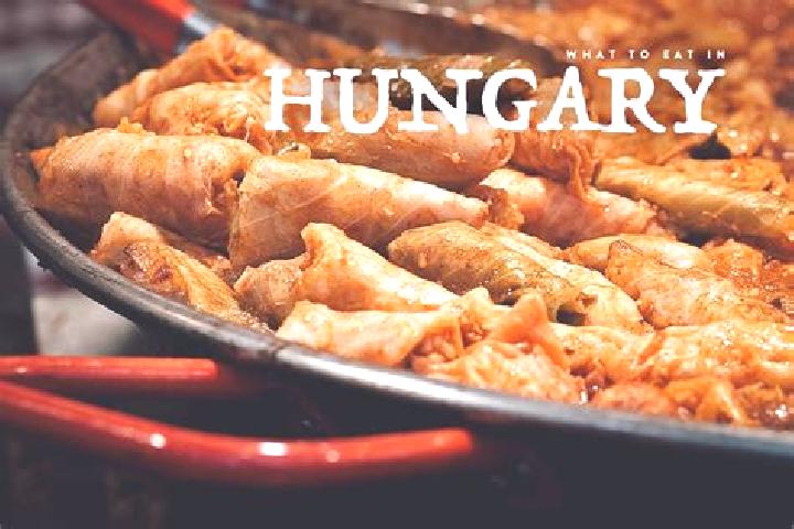 Escorts Buda, Hungary — Local Companions