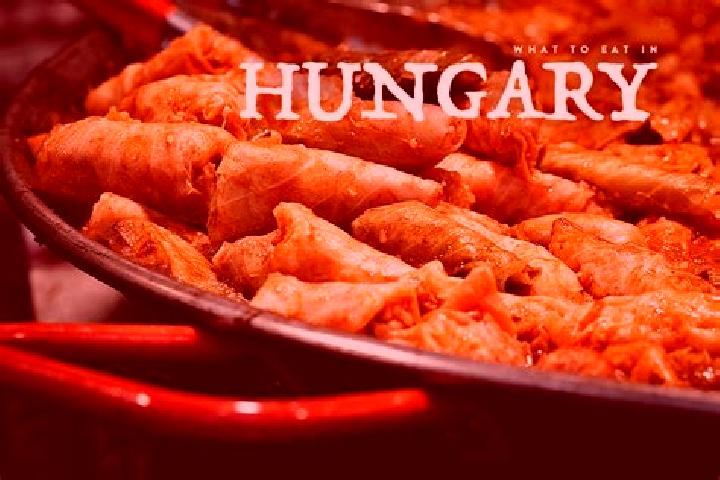 Escorts Budafok, Hungary — Local Companions