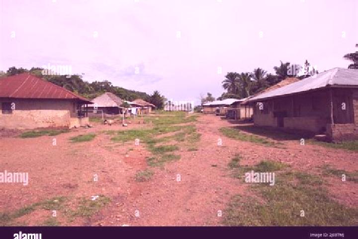 Escorts Buedu, Sierra Leone — Local Companions