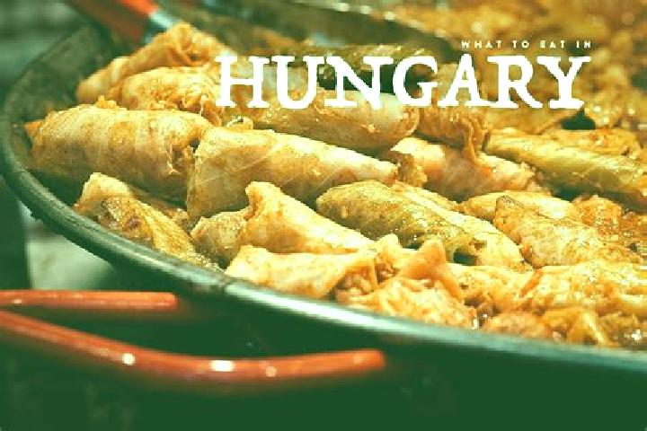 Escorts Bujak, Hungary — Local Companions