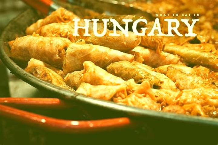 Escorts Buk, Hungary — Local Companions