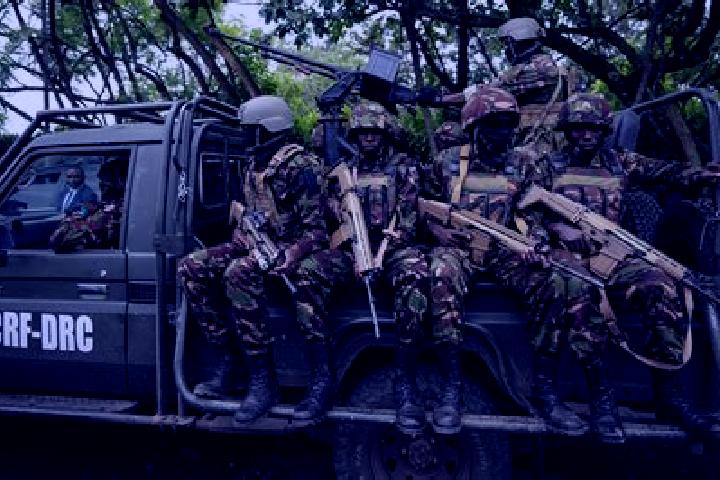 Escorts Bukama, DR Congo — Local Companions