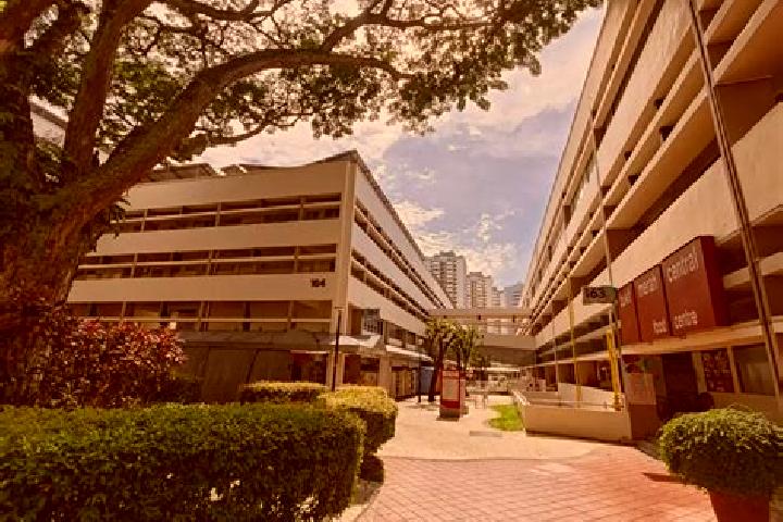 Escorts Bukit Merah Estate, Singapore — Local Companions
