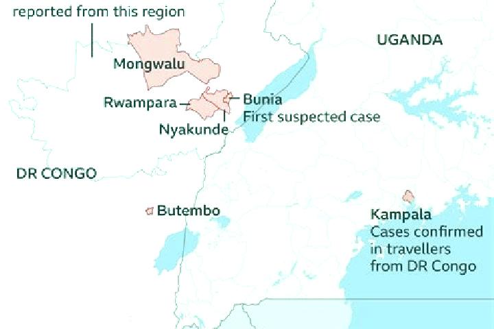 Escorts Bunia, DR Congo — Local Companions