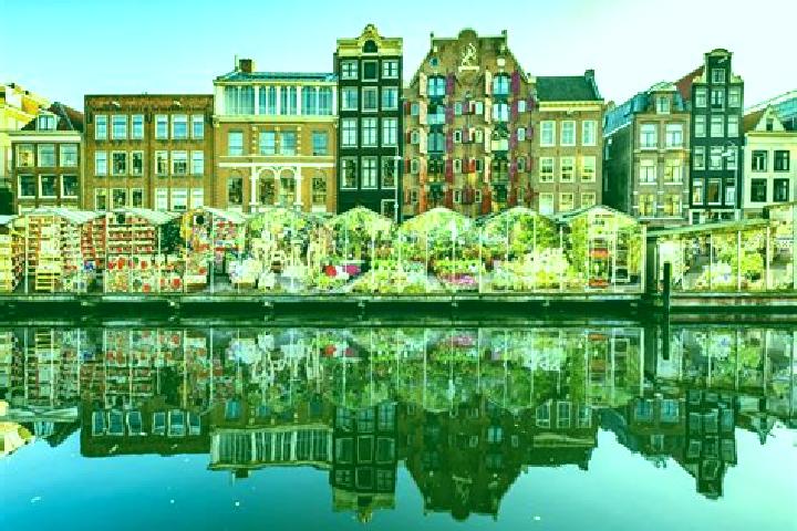 Escorts Burgh, Netherlands — Local Companions