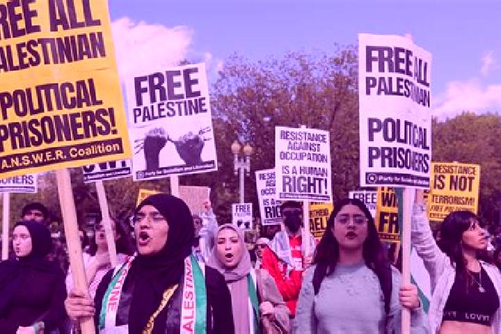 Escorts Burham, Palestine — Local Companions