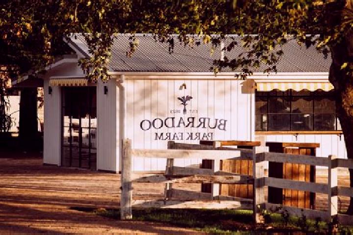 Escorts Burradoo, Australia — Local Companions