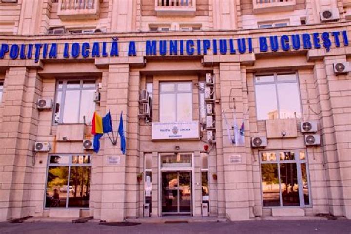 Escorts Bursucani, Romania — Local Companions