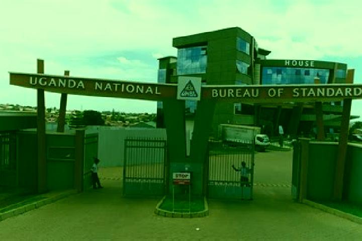 Escorts Busia, Uganda — Local Companions