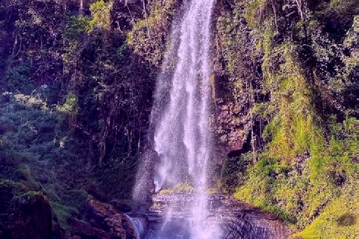 Escorts Cachoeira Alta, Brazil — Local Companions