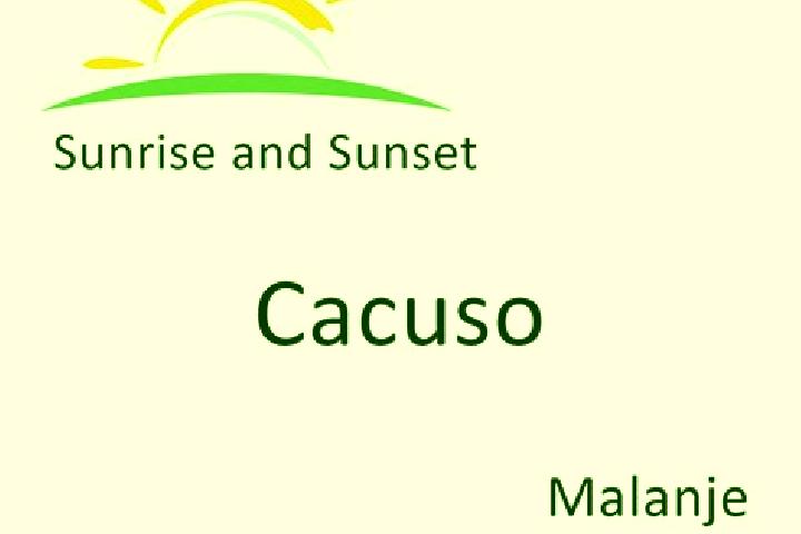 Escorts Cacuso, Angola — Local Companions