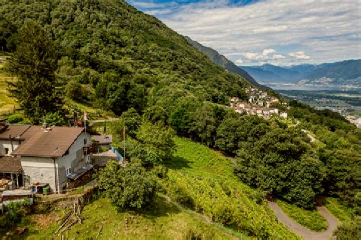 Escorts Cadenazzo, Switzerland — Local Companions