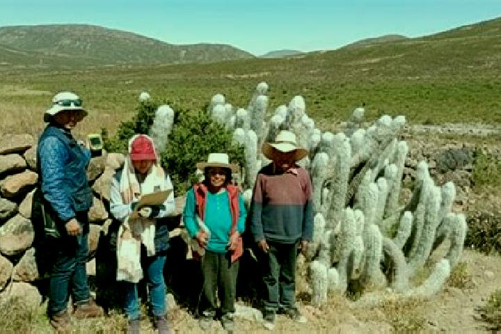 Escorts Cahuacho, Peru — Local Companions